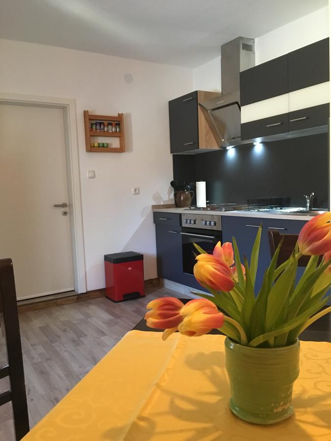 Ferienwohnung Richtermuehle Saupsdorf Esterno foto