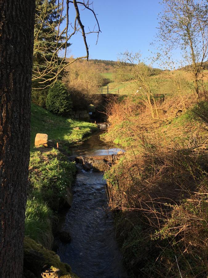 Ferienwohnung Richtermuehle Saupsdorf Esterno foto